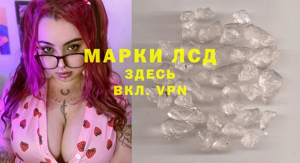 дживик Баксан