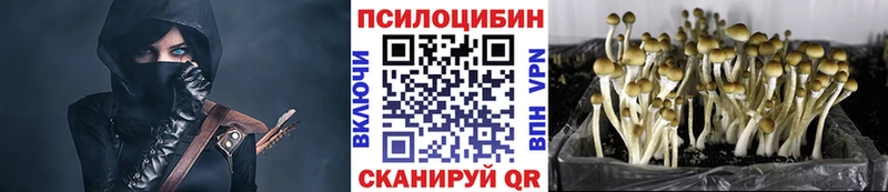 Псилоцибиновые грибы мицелий  Демидов 